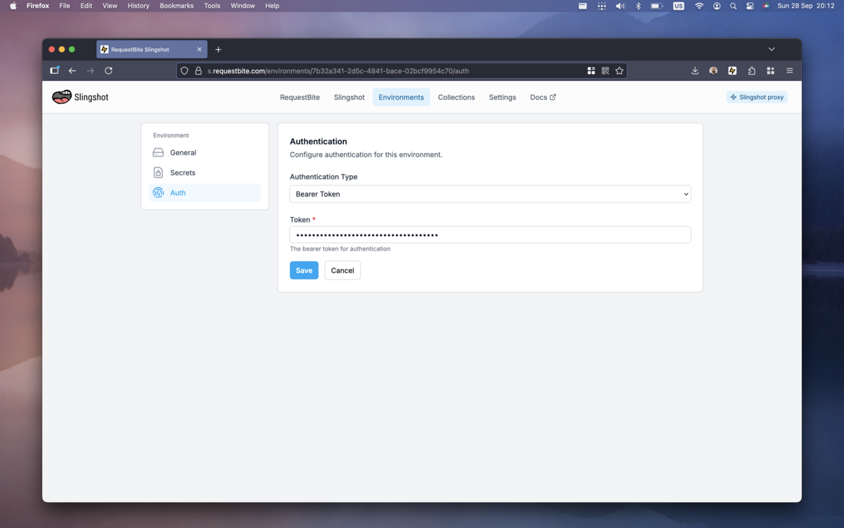 Add API key to environment